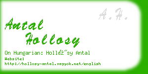 antal hollosy business card